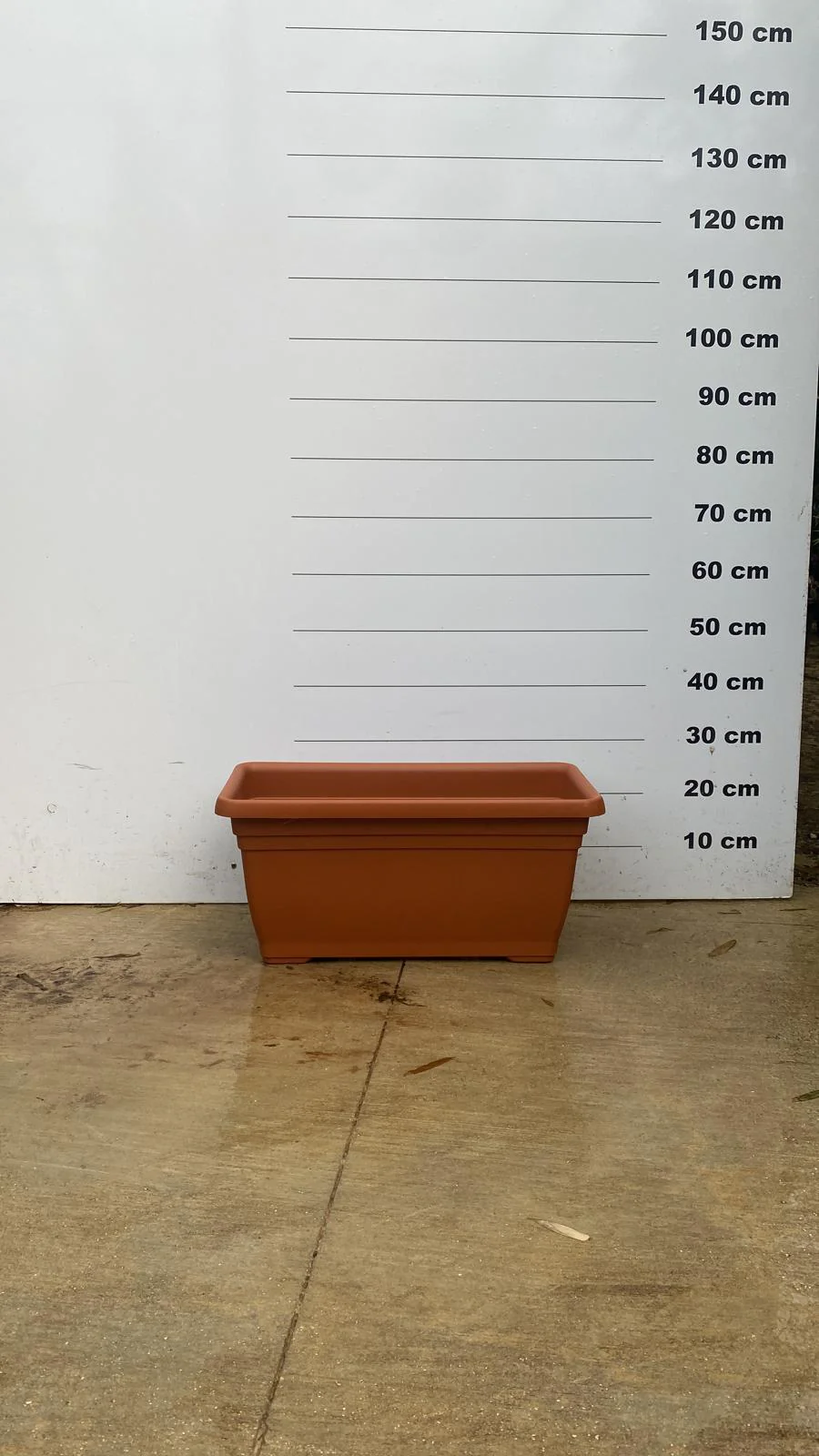 Image du produit 15